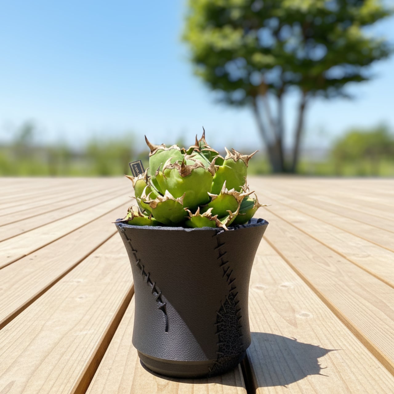 Franken【4号】3Dプリンター製植木鉢 アガベ、塊根植物向け | 3D PLANTER