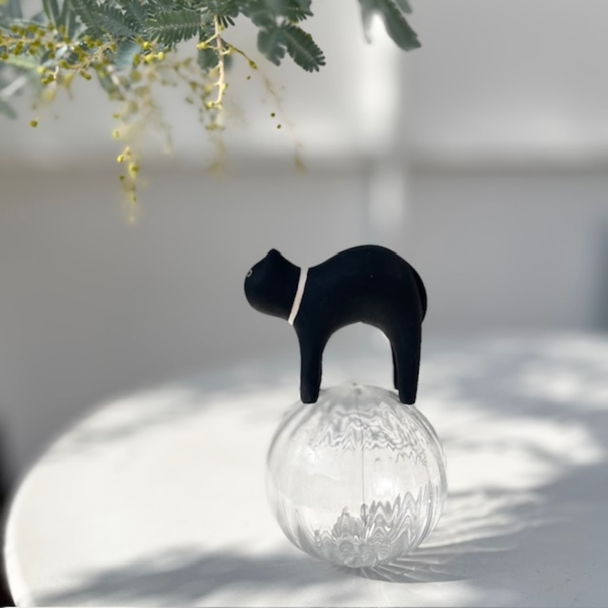polepole（ポレポレ）ぽれぽれ動物 クロネコ | ihana design(イハナ 