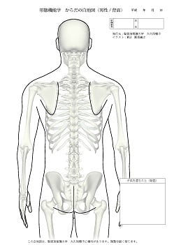 からだの白地図 男性(背面) | 学術書籍netショップ