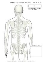 からだの白地図 男性(背面)