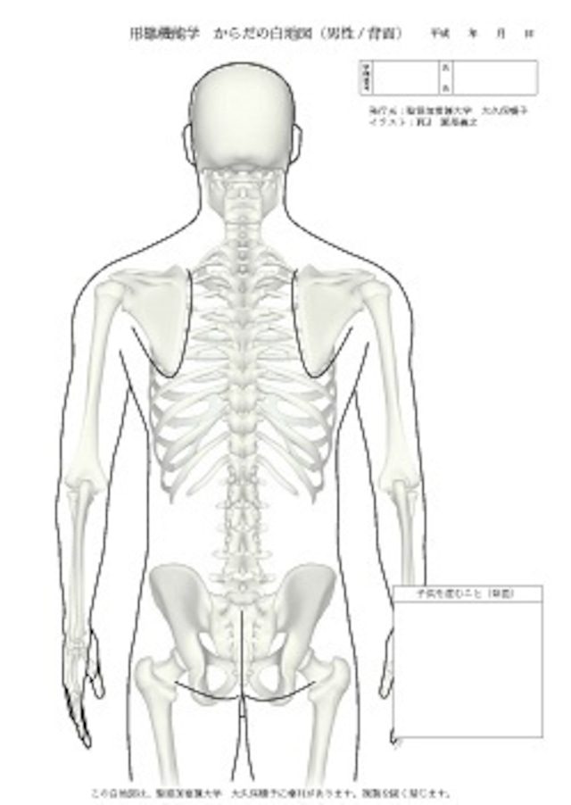 からだの白地図 男性(背面)