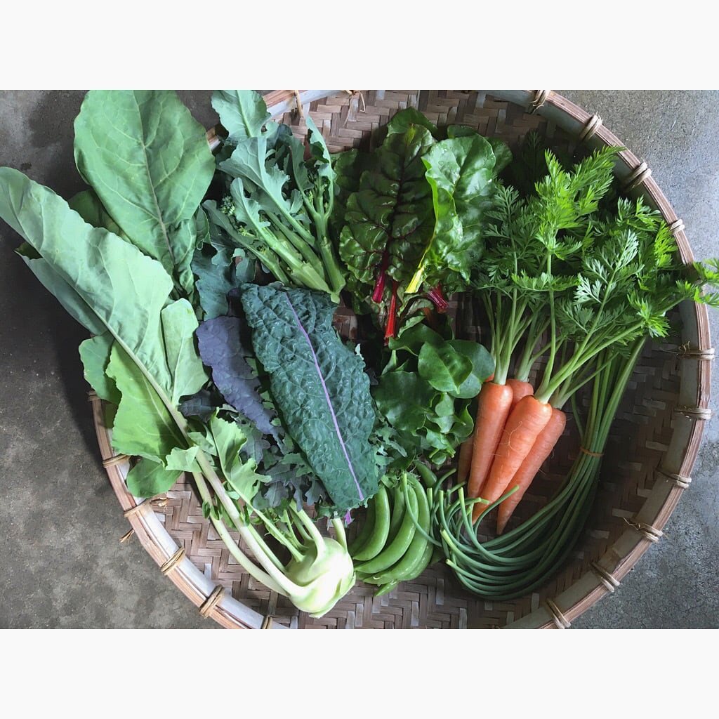 季節のお野菜便 ーＬサイズー ／ Seasonal Vegetable Mix ーＬ sizeー | 中里自然農園　ーNakazato Nature  Farmー powered by BASE