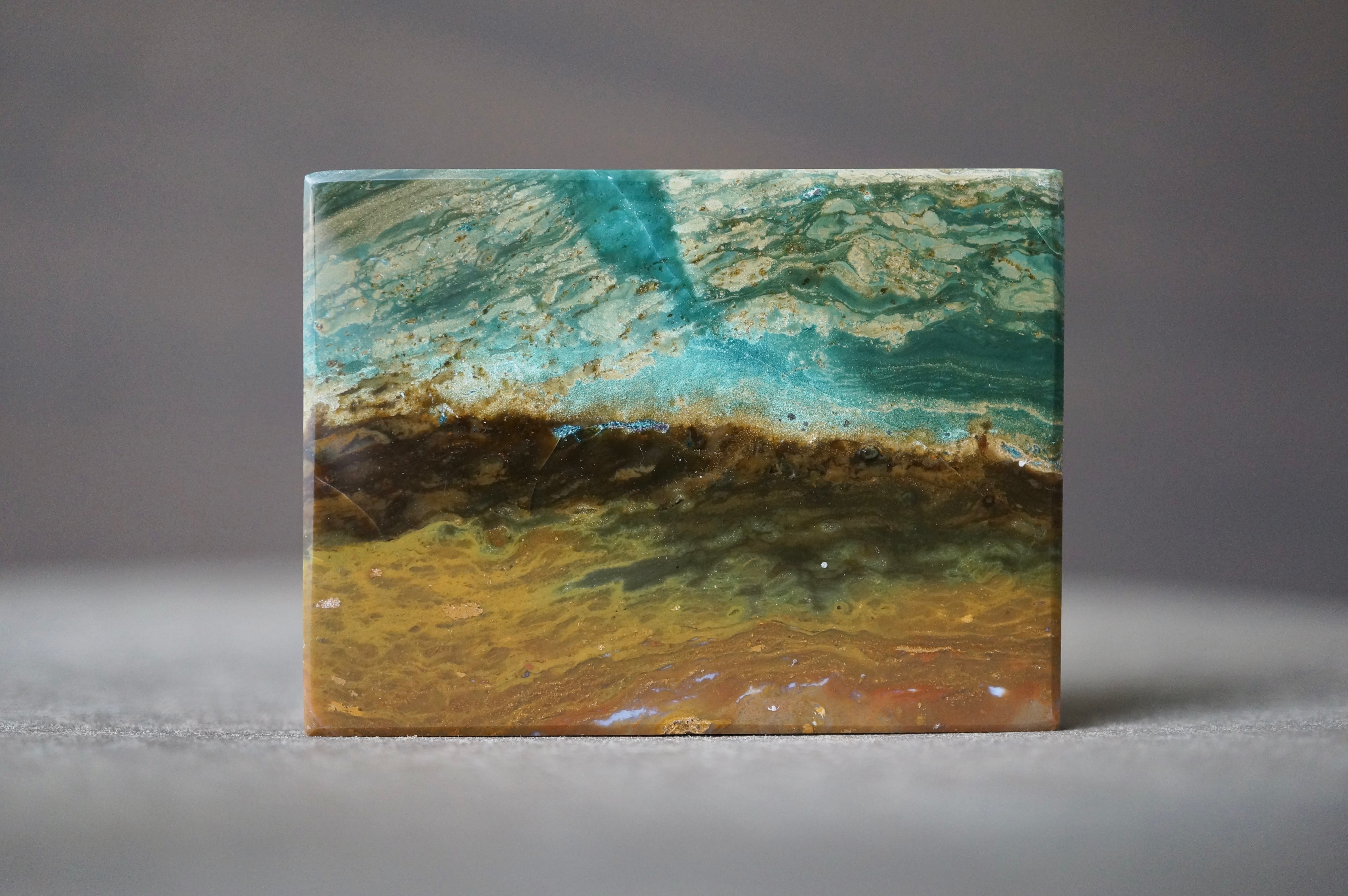 マダガスカル産ペトリファイドウッド Petrified Wood 1268 | 叙景 jokei