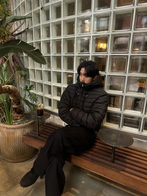 Lightweight Cropped Hooded Puffer Jacket (3color)