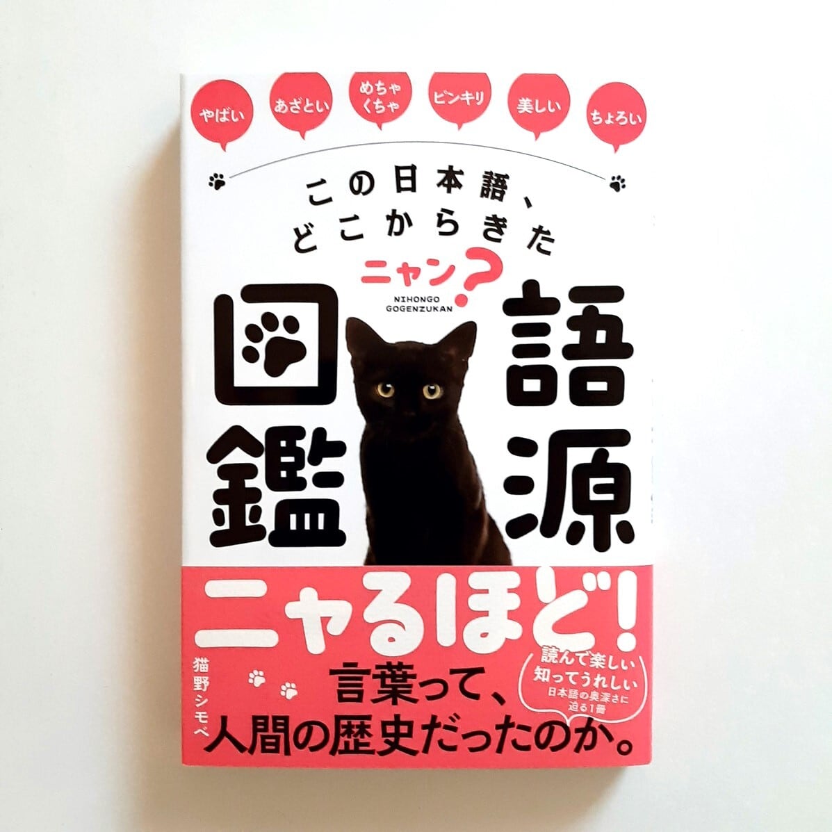この日本語、どこからきたニャン？ 語源図鑑 | ねこのみち