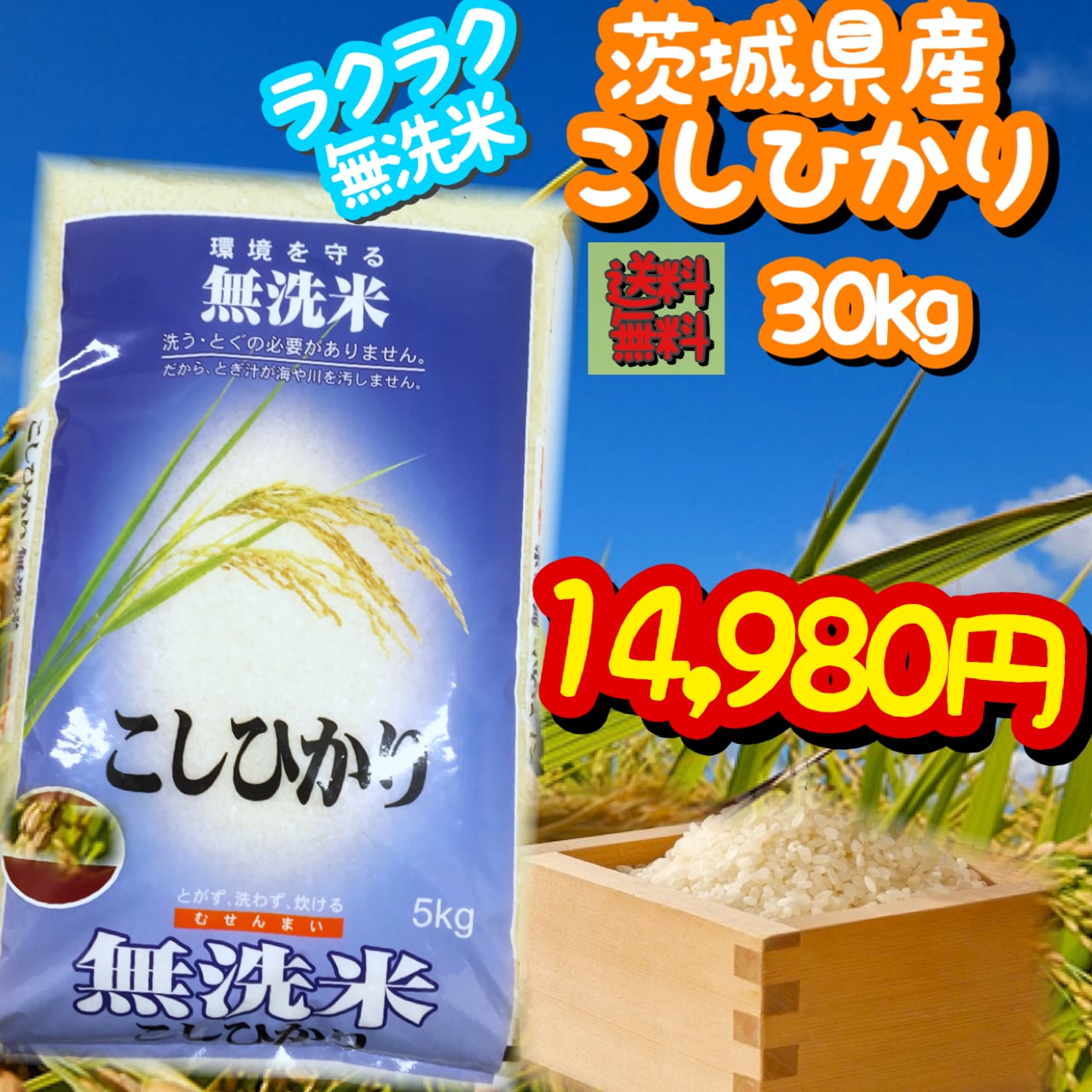 茨城県産　コシヒカリ無洗米　株式会社　5kg×6　タカシマ
