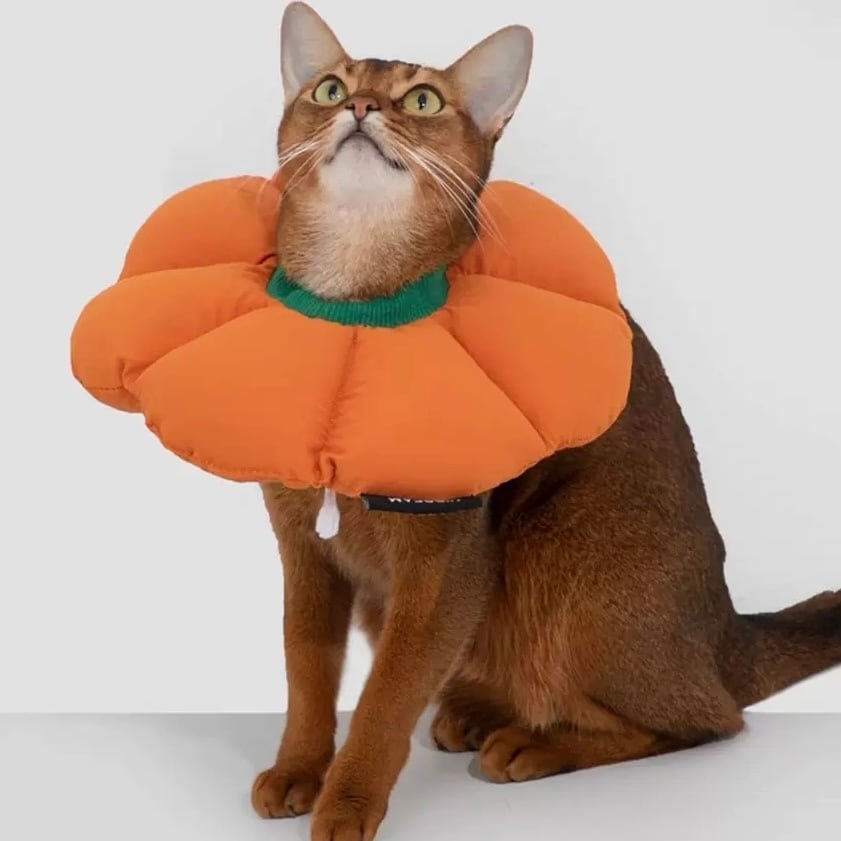 HiDREAM】ふわふわの質感！わんにゃん兼用エリザベスカラー | ペット