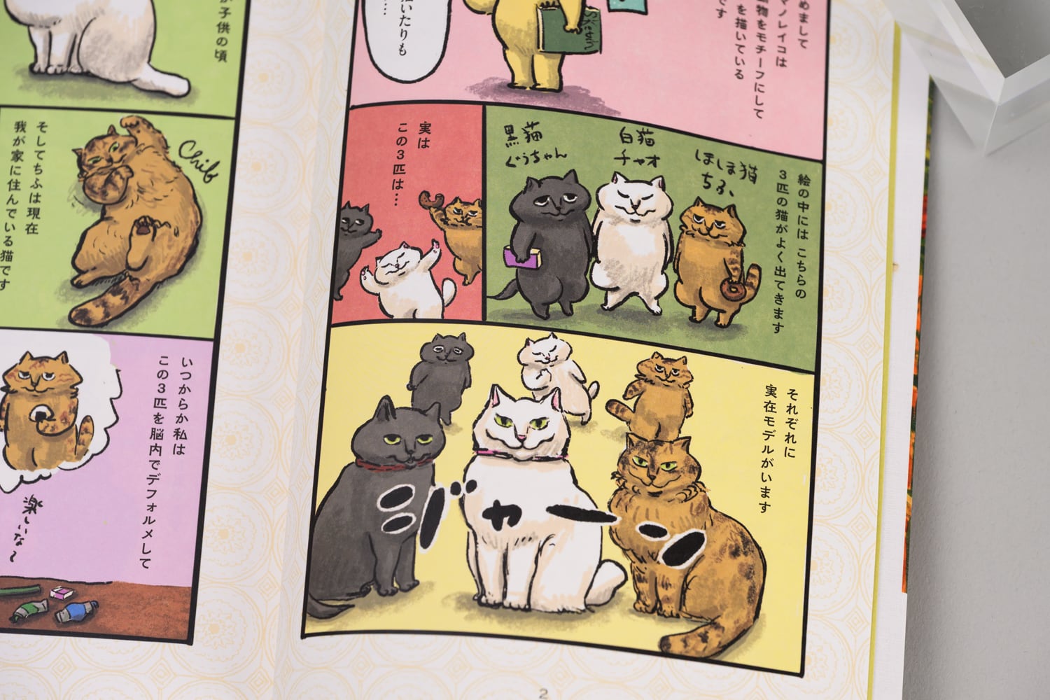 カマノレイコ 「白猫、黒猫、しましま猫」 | TOKYO PiXEL. shop & gallery