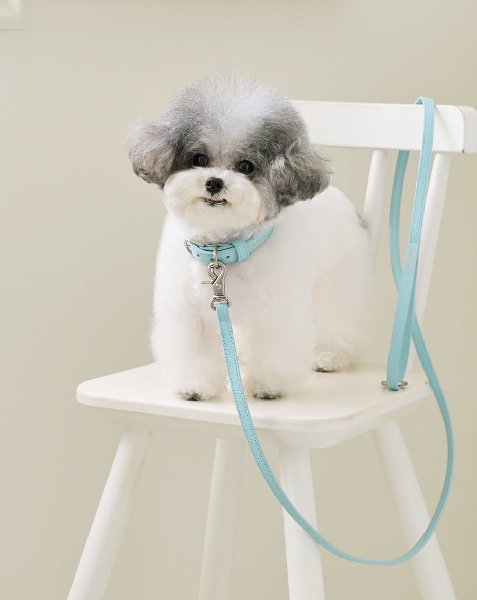 即納【stroll】Lumiere Leash (Powder Blue)