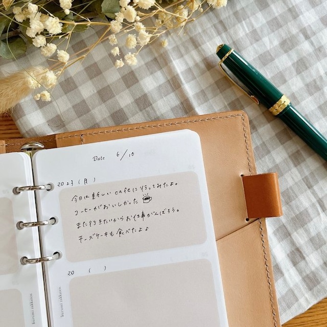 バイブルサイズ/3年日記リフィル