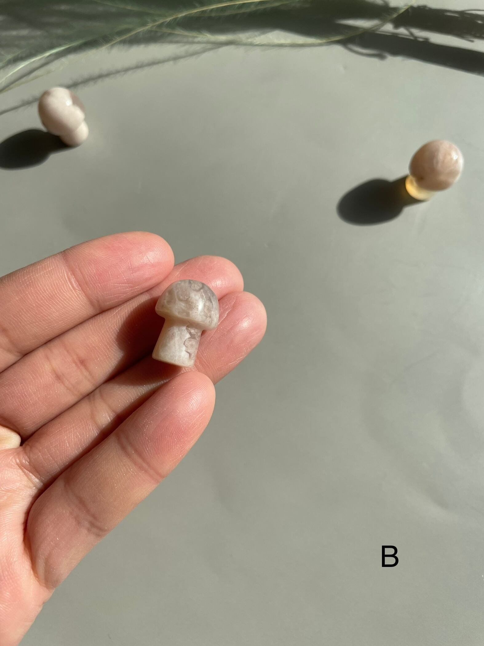 桜めのう　きのこ