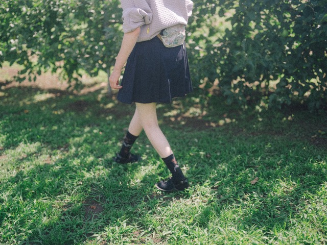 高山植物図鑑　col.navy
