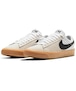 NIKE SB  Zoom Blazer Low Pro GT DC7695-100