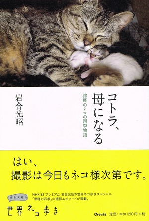 コトラ母になる　津軽のネコの四季物語（単行本）（帯付き）