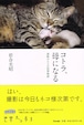 コトラ母になる　津軽のネコの四季物語（単行本）（帯付き）