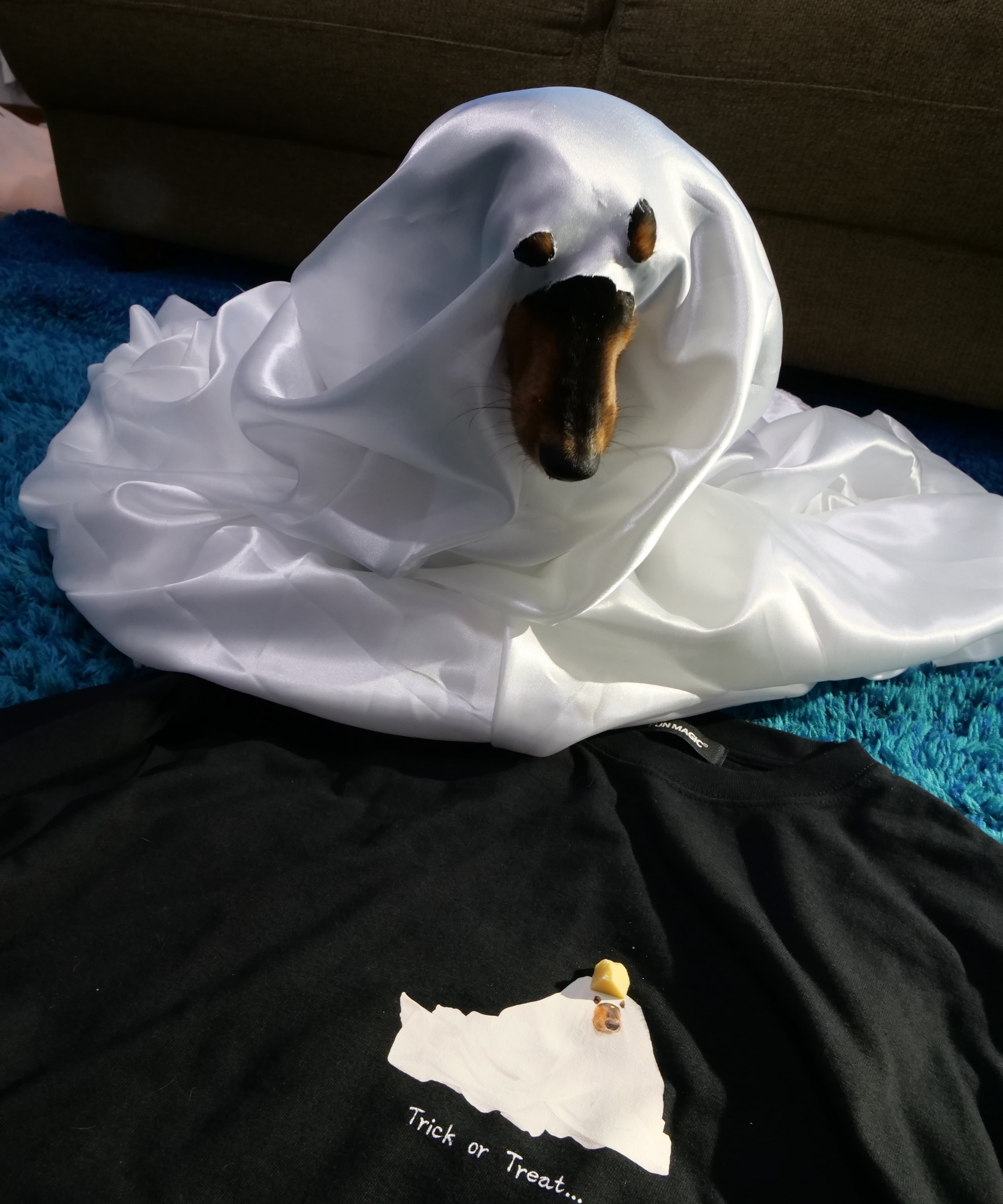 光るおばけロンT | FUN MAGIC STORE