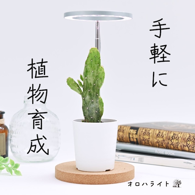 植物育成用LEDライト「オロハライト」～ タイマー付きで便利でコンパクト ～