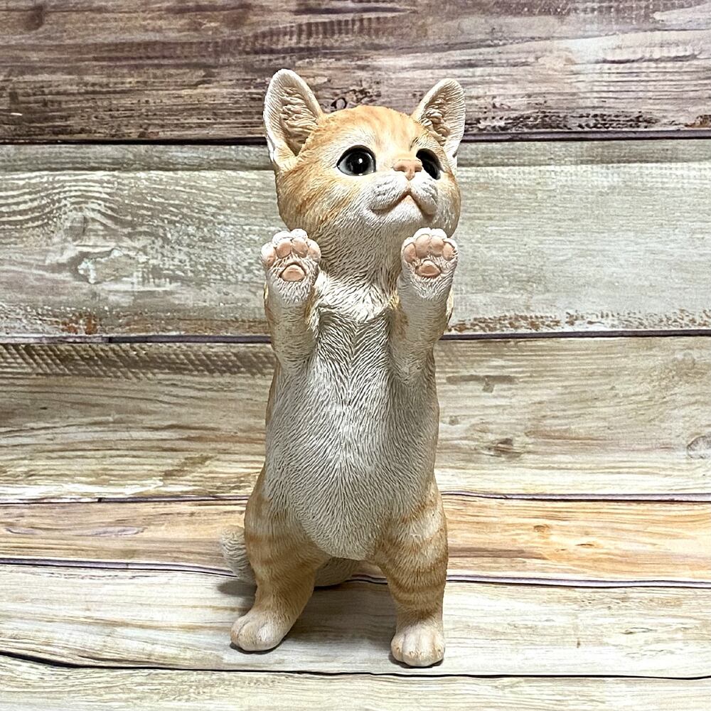 窓の外を眺める子猫