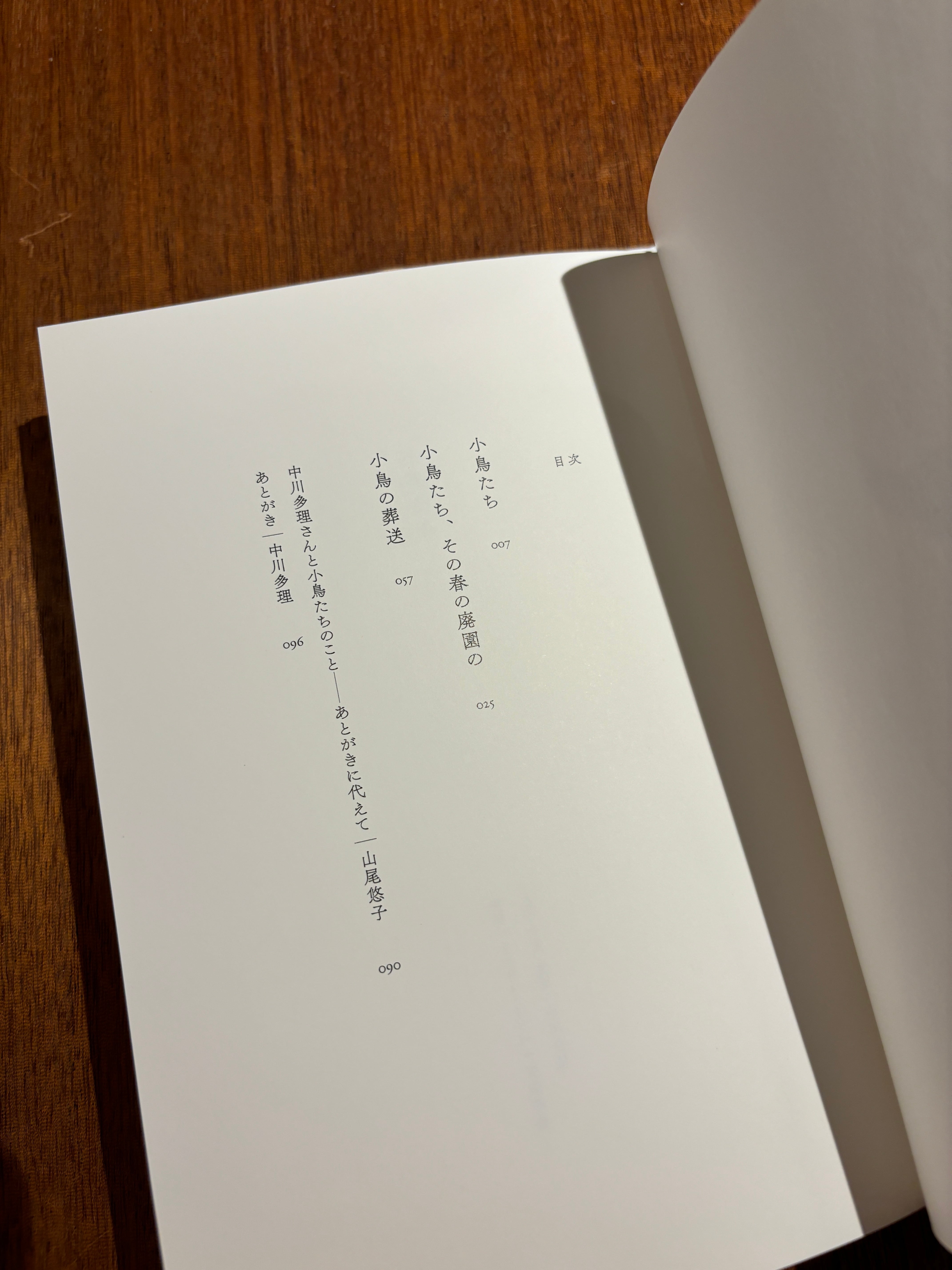 山尾悠子・中川多理『小鳥たち』 | 本屋B&B 山尾悠子・中川多理『小鳥たち』 | 本屋B&B