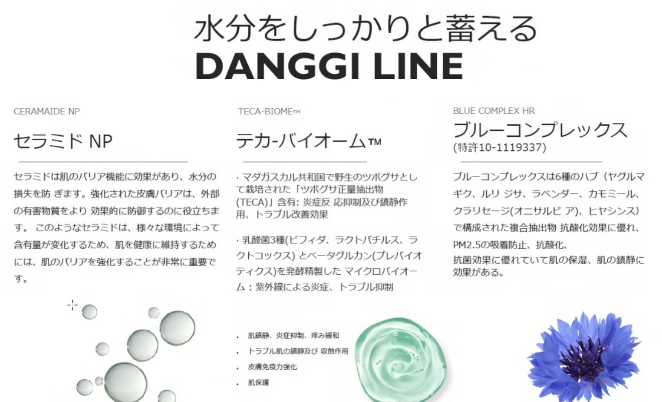DANGGI クレンジングミルク 200ml | itta
