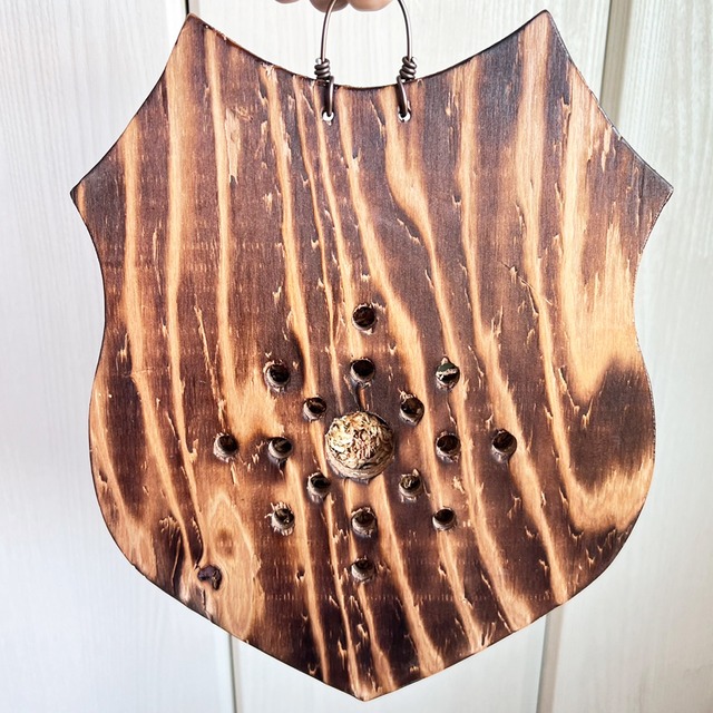 ビカクシダ ウィリンキー 板付 【観葉植物 室内 コウモリラン】