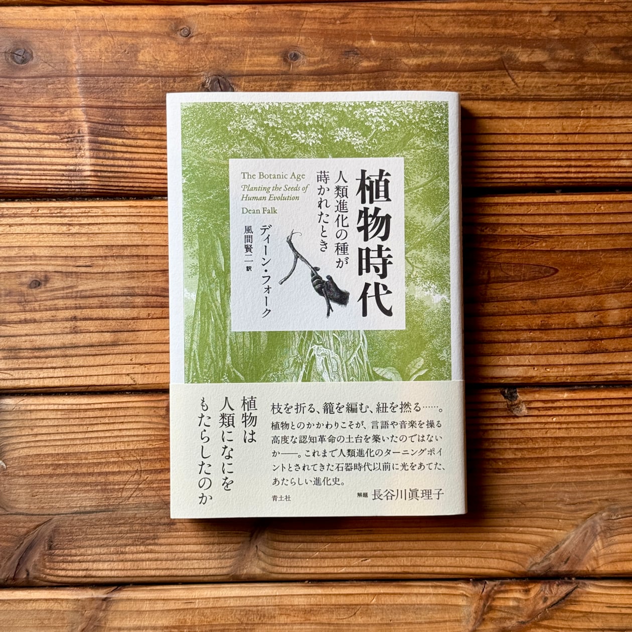 植物時代 人類進化の種が蒔かれたとき | ディーン・フォーク, 風間賢二