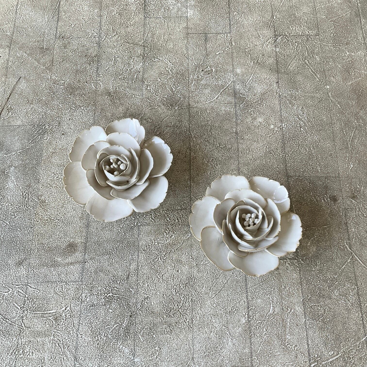 エクリュフラワーオブジェ | 橋本種苗園