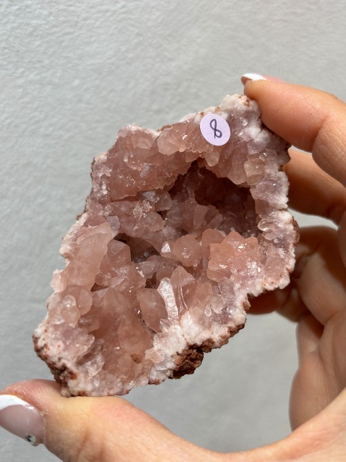 ピンクアメジスト♡アルゼンチン　Ｎo.8