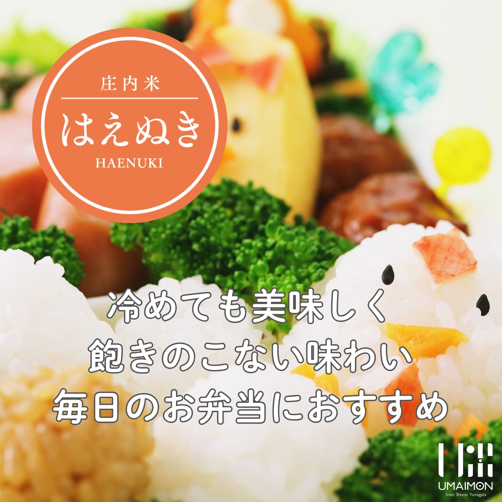 R7年山形県庄内産のはえぬき　約15キロ 令和6年産 山形県庄内産はえぬき 10kg | 庄内なんでも屋