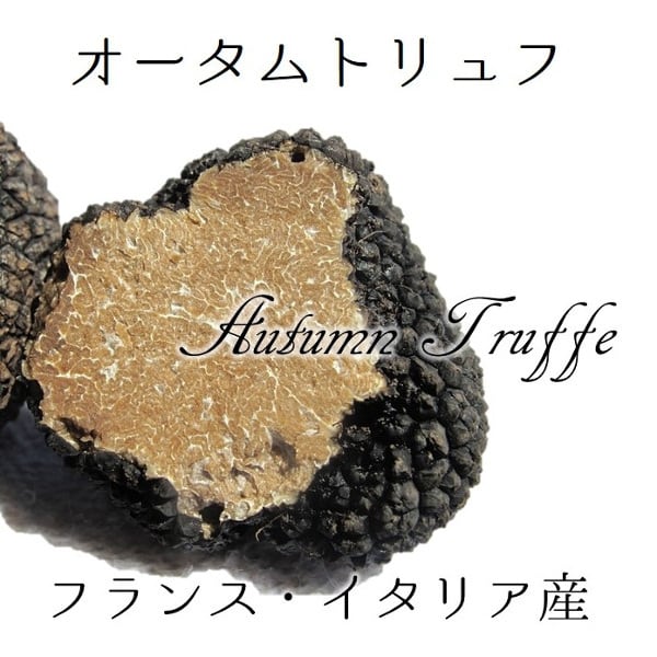 黒トリュフ フランス・イタリア・ブルガリア産 他欧州 1個30-40g前後【黒トリュフ】 冷蔵 豊洲直送 目利き厳選 フレッシュトリュフ