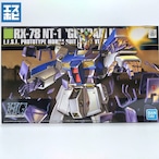 HG 1/144 ガンダム NT-1