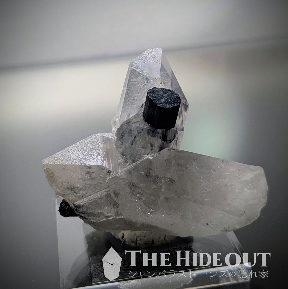 ヒマラヤ産鉱物原石標本030 タプレジュン地区産ショールトルマリン