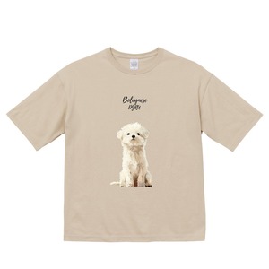 ボロニーズ　ビックシルエットTシャツ