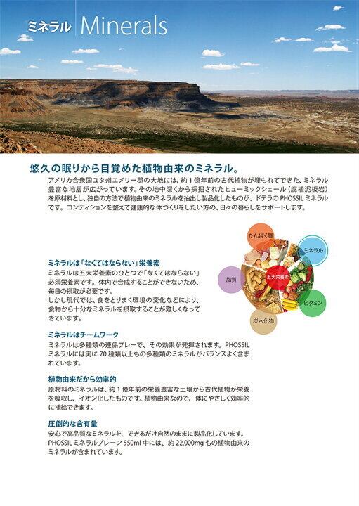 doTERRA PHOSSIL ミネラル オリジナル&プルーン+オイル 125LRP doTERRA PHOSSIL ミネラル オリジナル&プルーン+オイル 125LRP