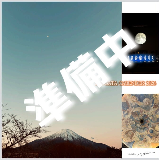 M O 2026 M O Bay MEGUMI OGATA Em U OFFICIAL WEB SHOP