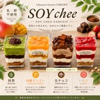 スプーンで食べるSOYチーズケーキ　SOY chee