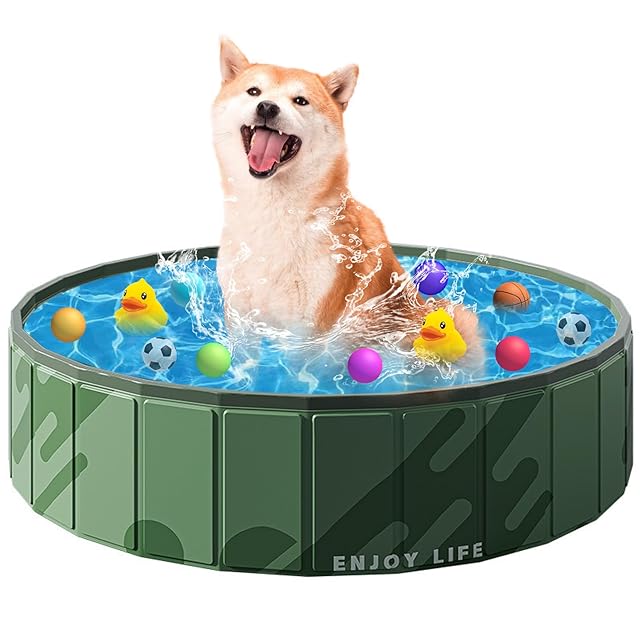 Lサイズ】スカイブルー チンチラ デグー 砂浴び容器 飛び散り防止