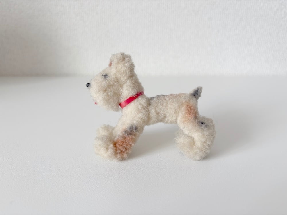 【ハンガリー】赤い首輪が目印の、優しい顔のモール犬