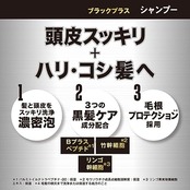 MARO17(マーロ17) ブラックプラス シャンプー [ハリコシのある黒髪へ] ジェントルミントの香り MARO17 マーロ17 350ml メンズ リキッド・液体 350ミリリットル (x 1)