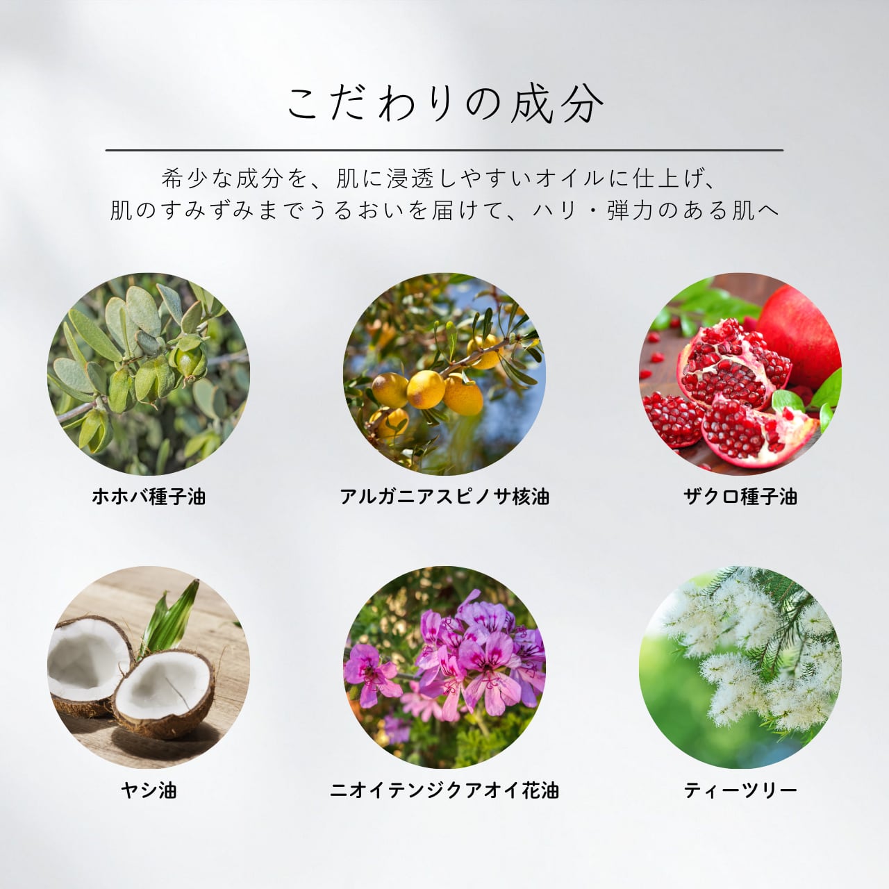 CITUCAフェイスケアオイル《 導入美容液 》