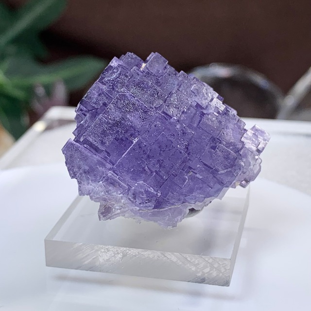 3.結晶美☆透明度あり☆パープルフローライト原石クラスター