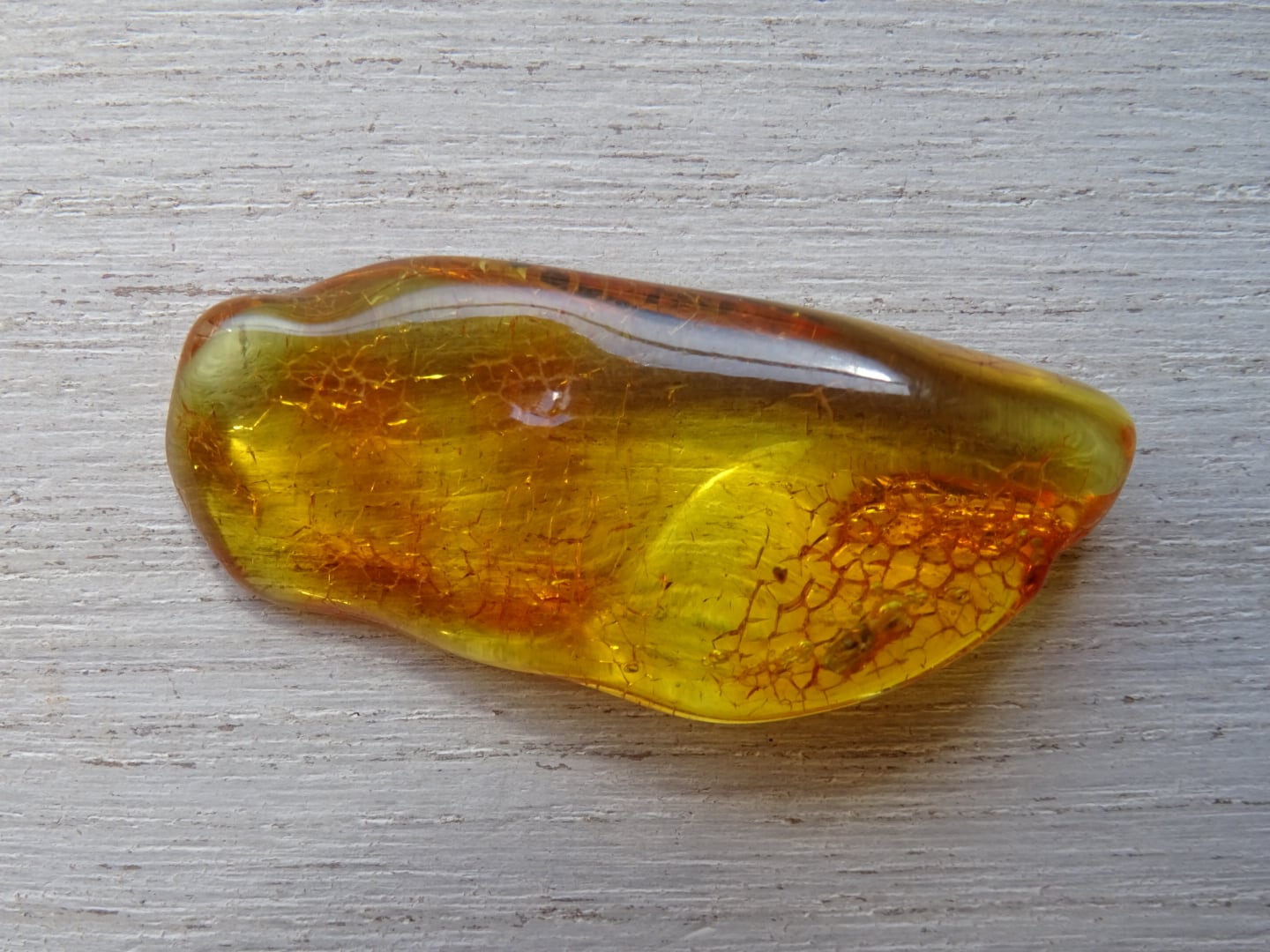 バルティックアンバー（バルト海琥珀） ~Honey The Treasure~ | 虹石屋