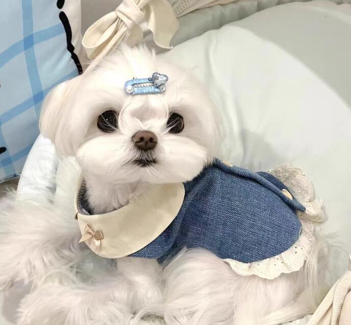 《予約》№1102863 ボタンラペルトップス