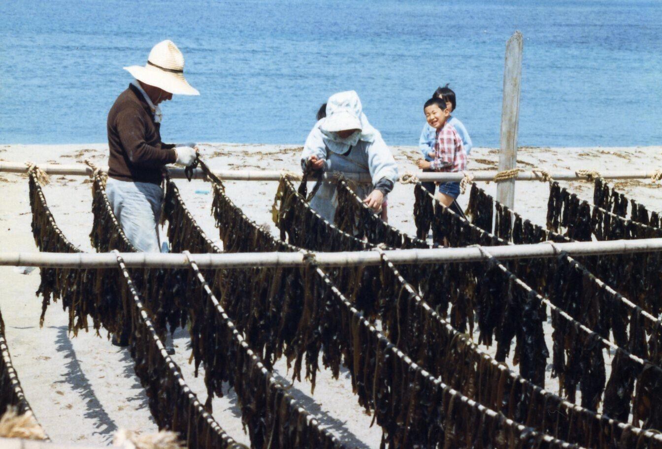 珠洲天然わかめ　45ｇ