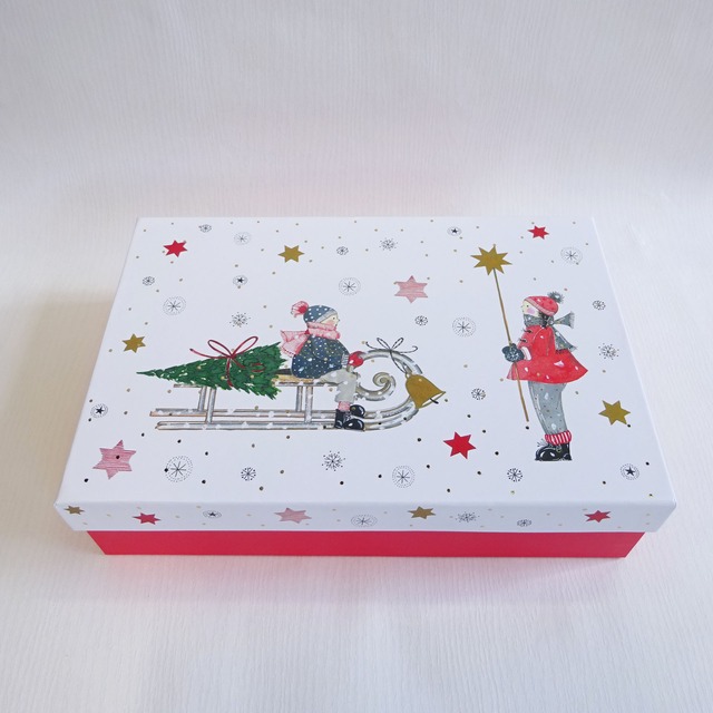 クリスマスボックス ラッピングボックス スイス製 STEWO 2551 5510 98 A5