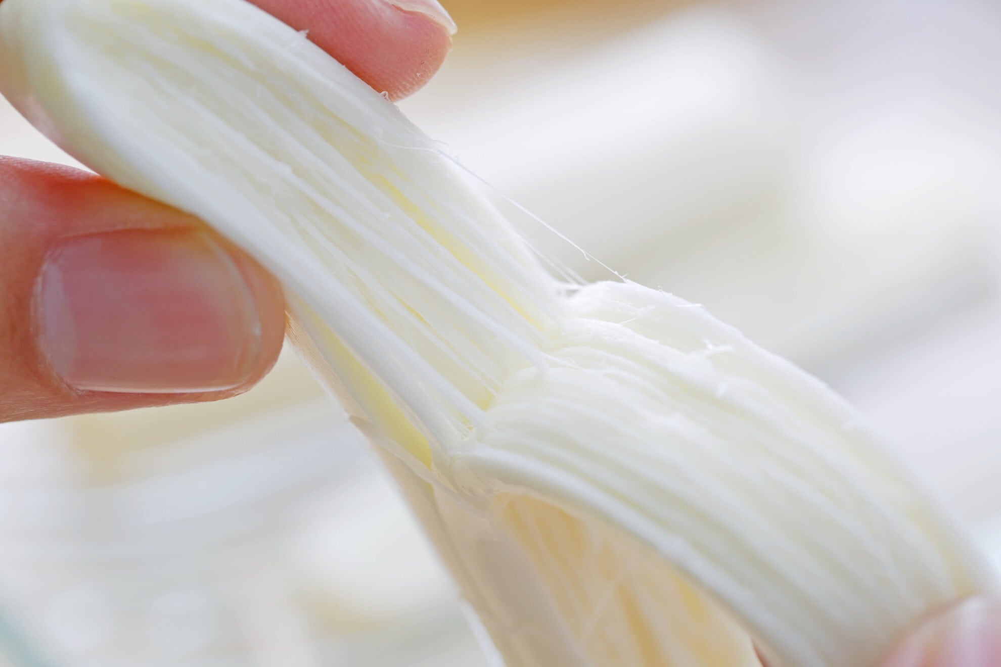会津のべこの乳発 つまんでよいよいチーズ 5個セット（ストリング