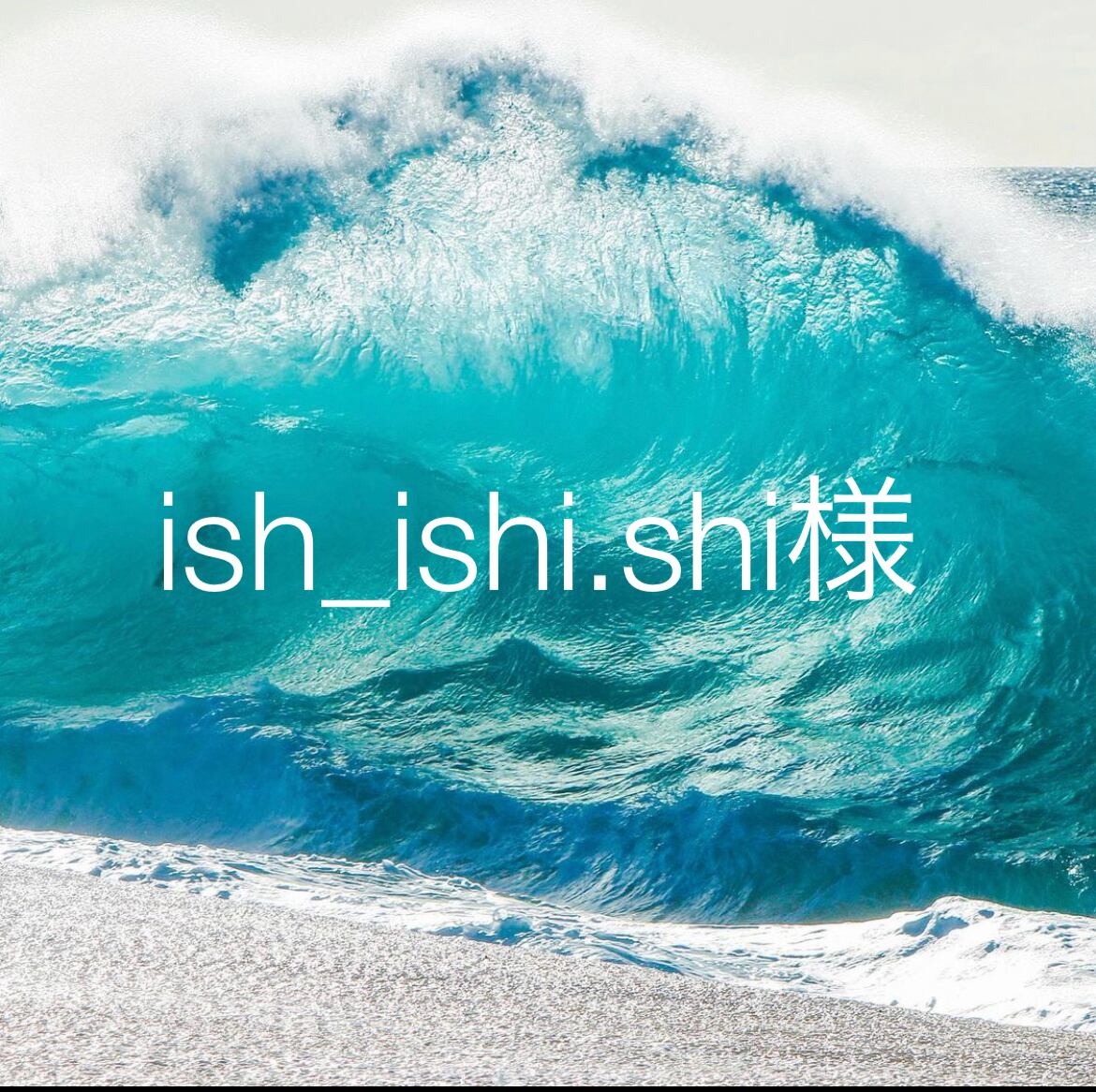 usagi_drops.hosi様 | Pay ID