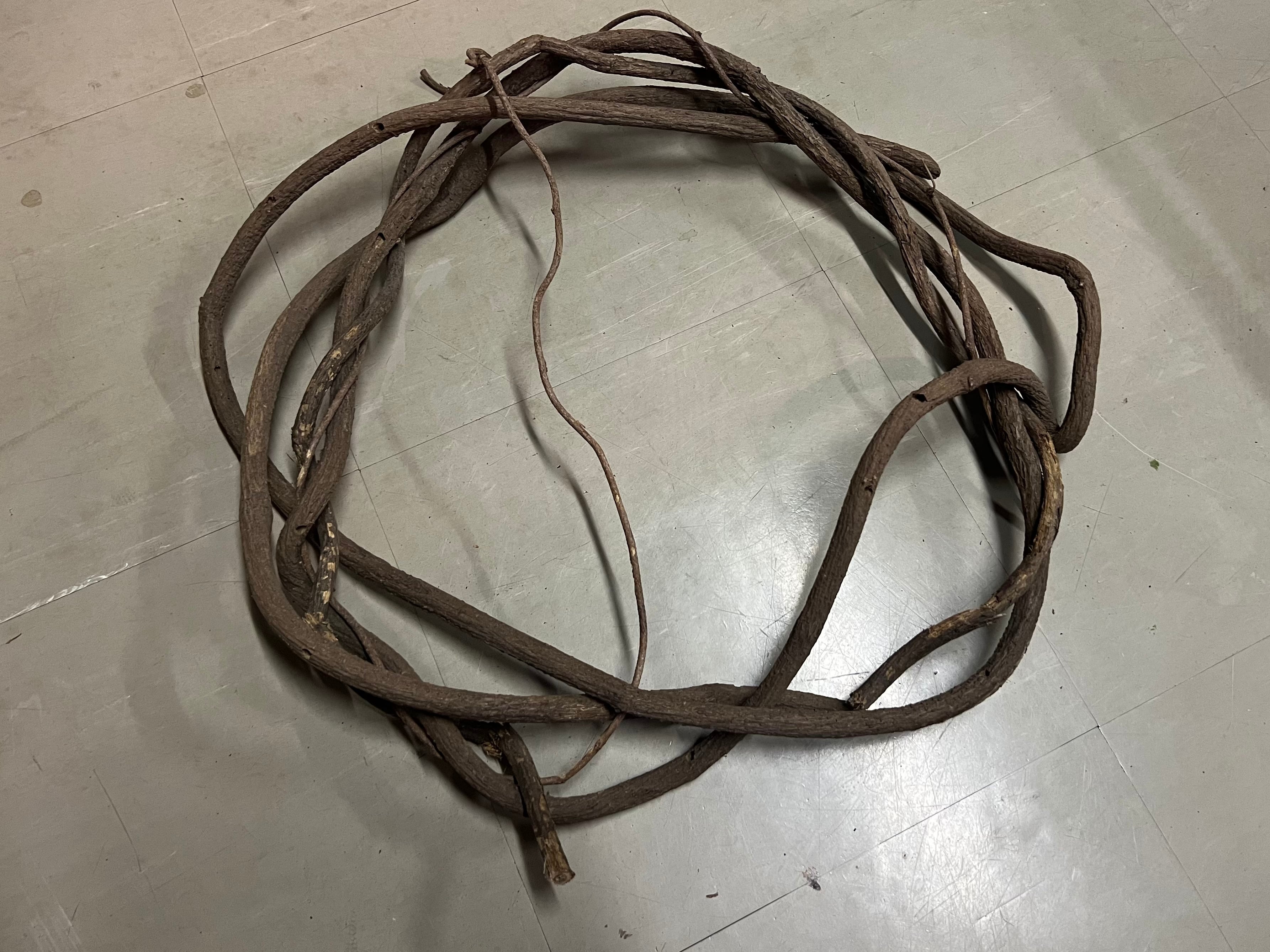 木のツル　天然木　天然アート　木工品　２種セット  梱包・発送たのメル便 木のツル 天然木 天然アート 木工品 2種セット 梱包・発送たの