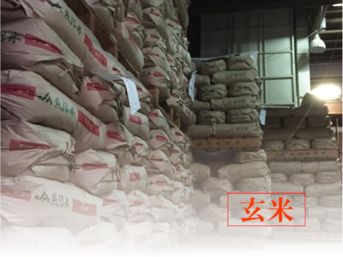 令和５年産米 魚沼コシヒカリ【玄米】特別栽培米 30kg