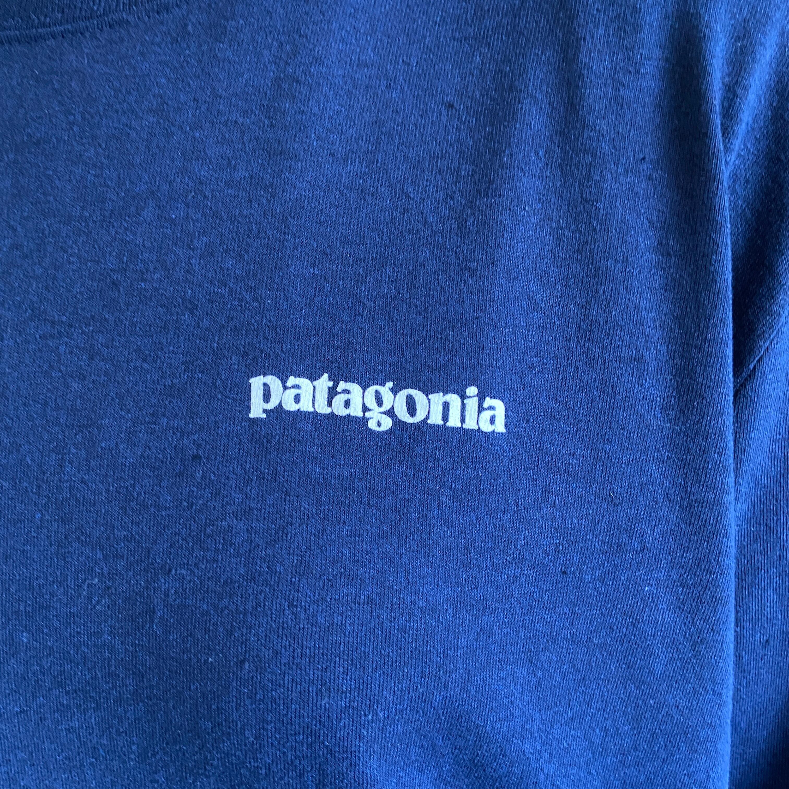 patagonia パタゴニア 胸ロゴ バックプリント ロングTシャツ ロンT